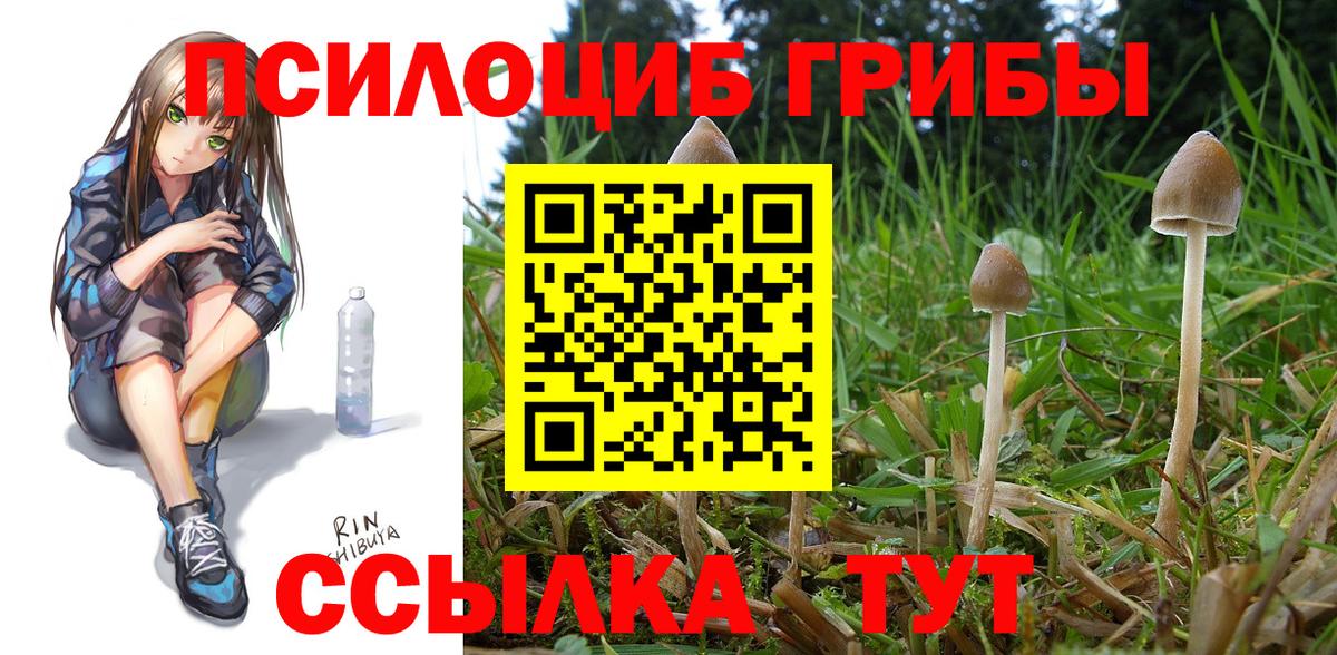 Псилоцибиновые грибы Magic Shrooms Волжск