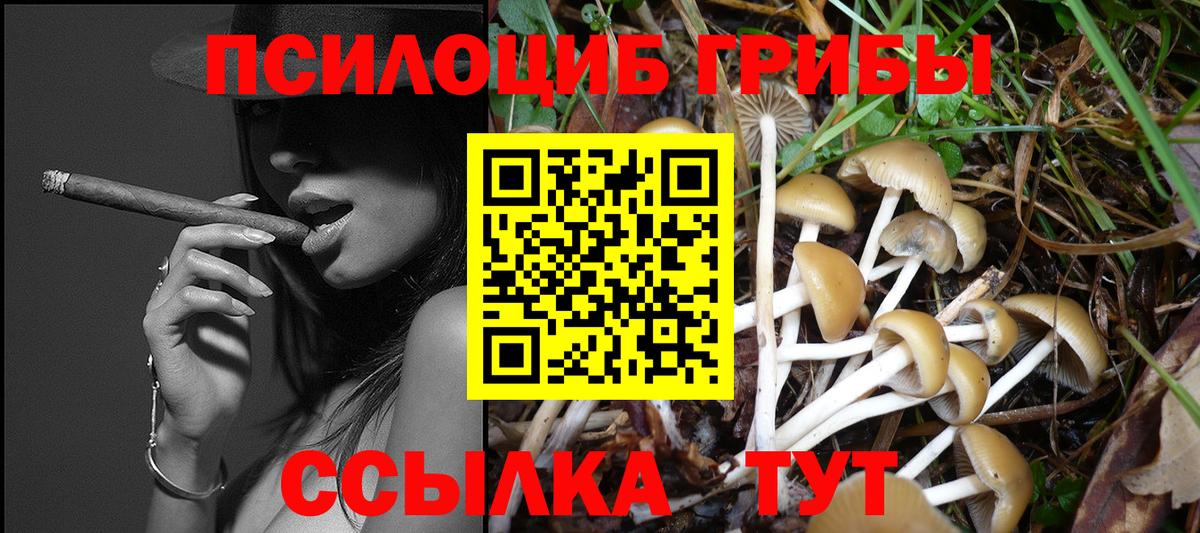 Галлюциногенные грибы Psilocybe  Вход с VPN  Волжск 